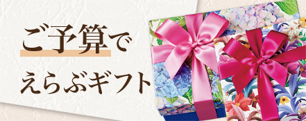ご予算でえらぶギフト