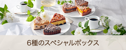 ６種のスペシャルボックス