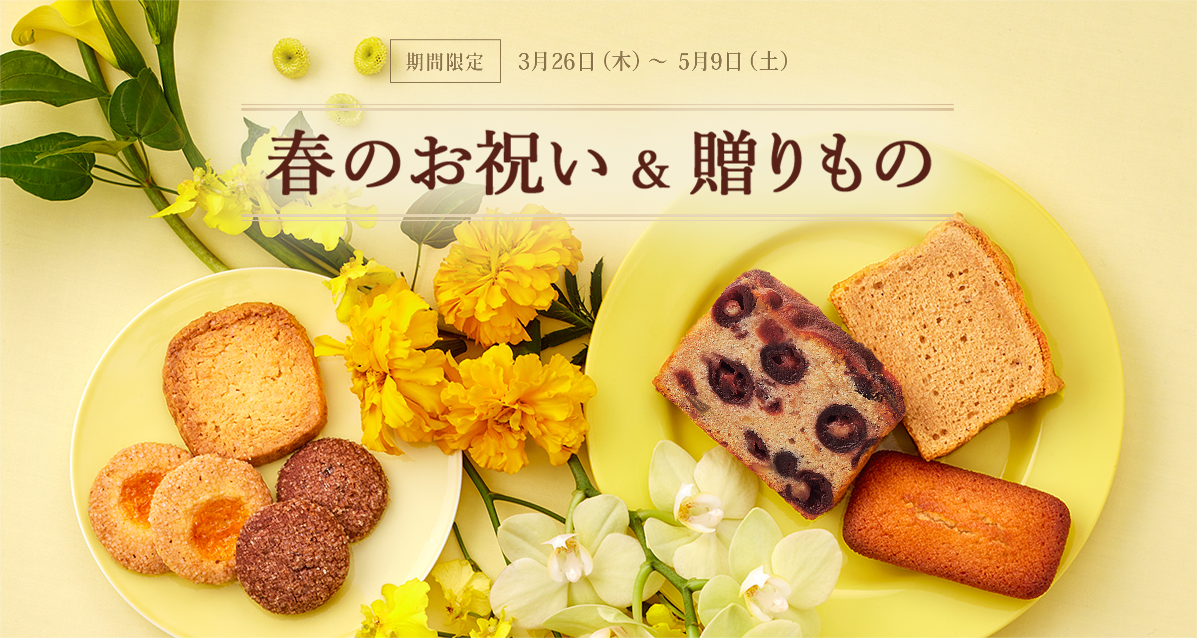 春のお祝い＆贈りもの：期間限定 3月26日（木）～5月9日（土）