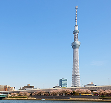 ツマガリのクッキーが東京で買えない理由