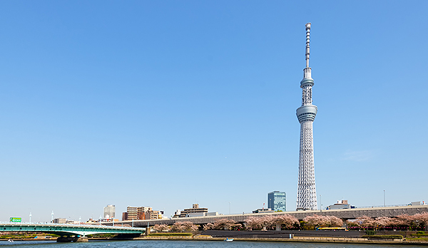 ツマガリのクッキーが東京で買えない理由